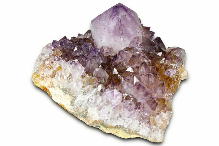 Sparkling Cactus Amethyst Crystal Cluster - South Africa #364619